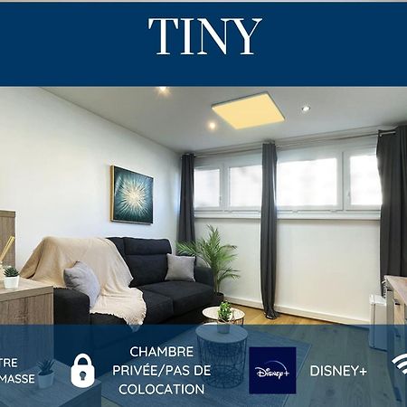 Homey Tiny - Chambre Privee - Situee En Hyper-Centre - Disney Plus Et Wifi Inclus - Sans Sdb - Proche De Geneve Et Des Transports En Commun Annemasse Exterior photo